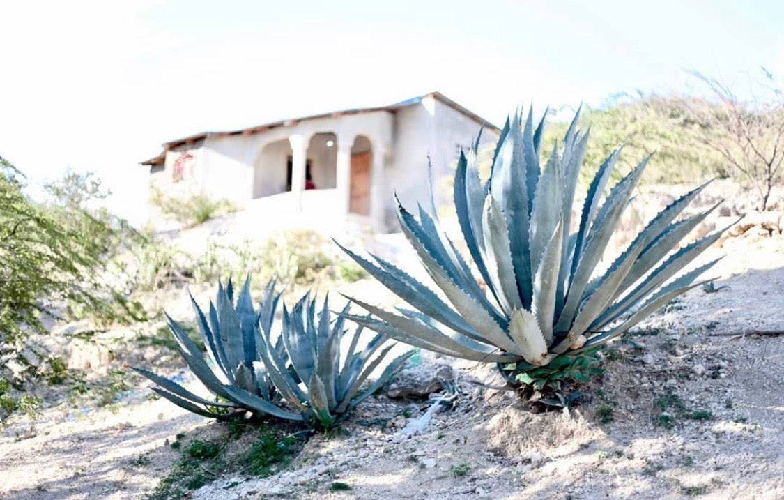 Bored in the house and I'm in the house bored..