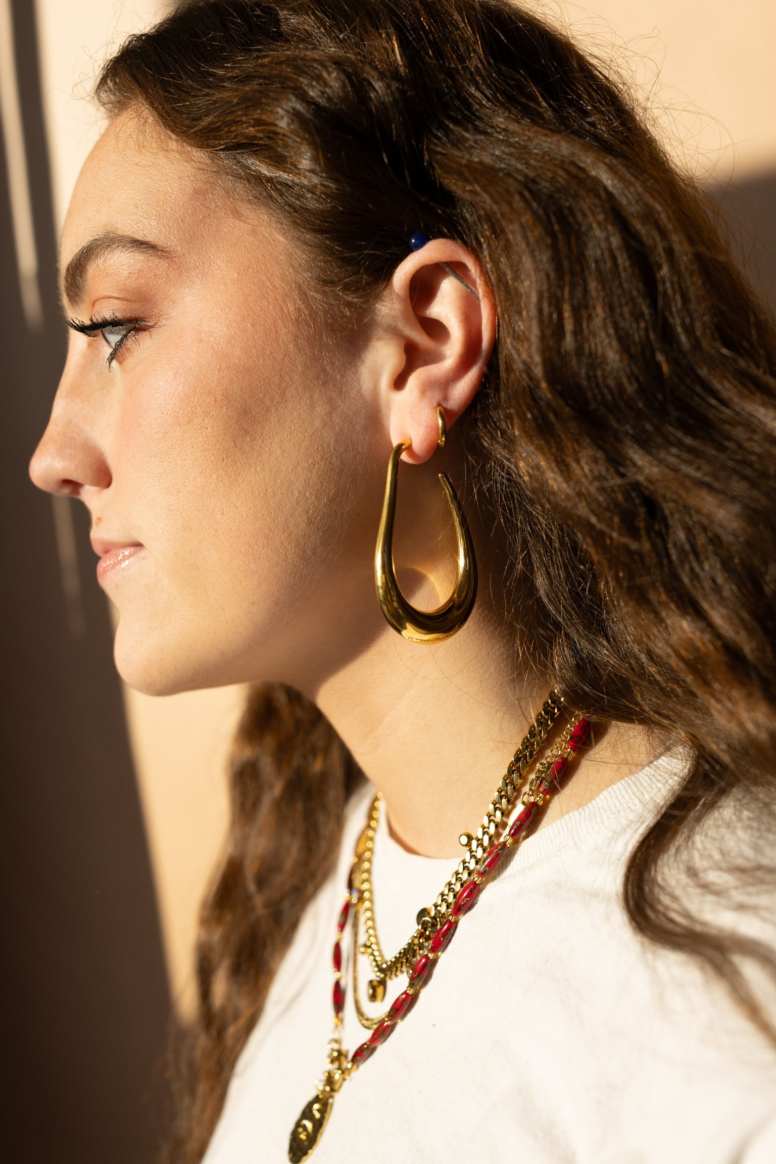 Edfina Large Hoop Earrings || Choose Color