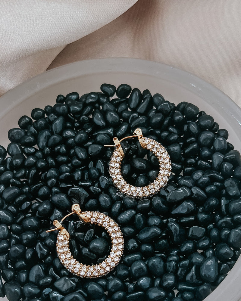 Evangeline Diamond Crystal Hoop Earrings